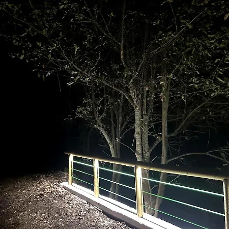 Viva Forest Apartment, Stevier Icod De Los Vinos