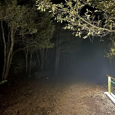 Viva Forest Apartment, Stevier *