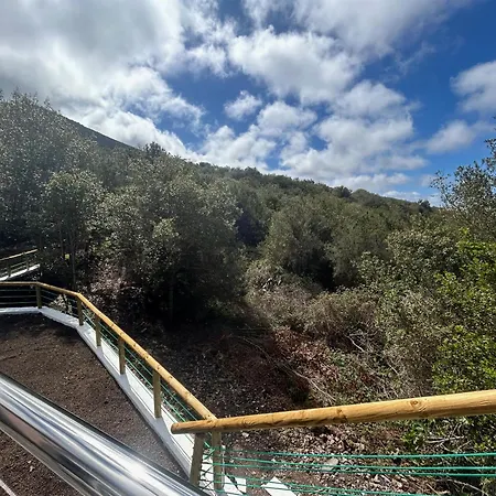 Viva Forest Apartment, Stevier Appartement