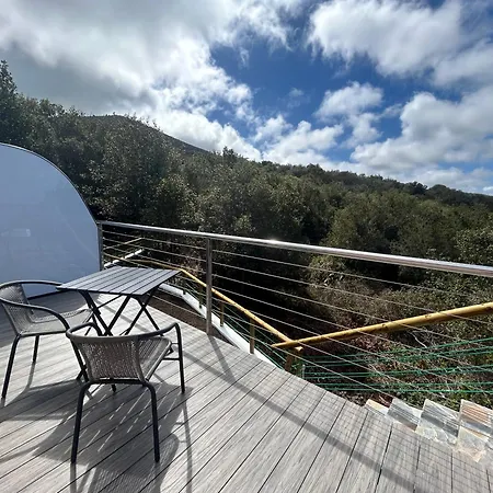 Viva Forest Apartment, Stevier Appartement