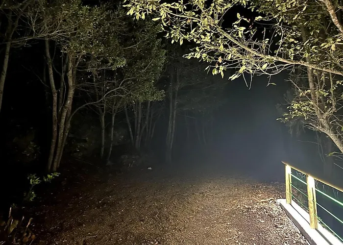 Viva Forest Apartment, Stevier *