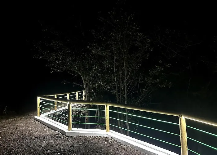 Daire Viva Forest Apartment, Stevier Icod De Los Vinos