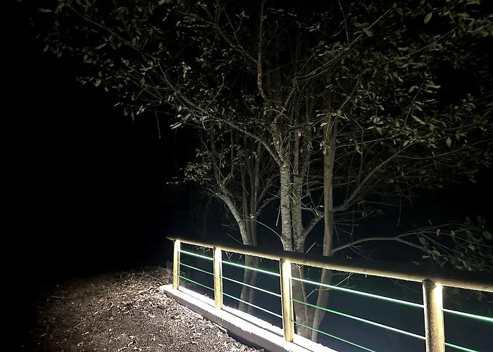 Viva Forest Apartment, Stevier 伊科德·德·洛斯·维诺斯