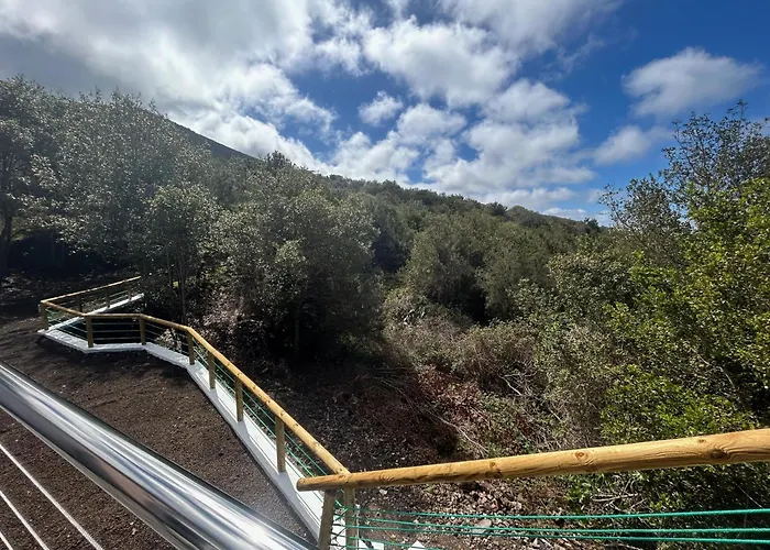 Viva Forest Apartment, Stevier 公寓