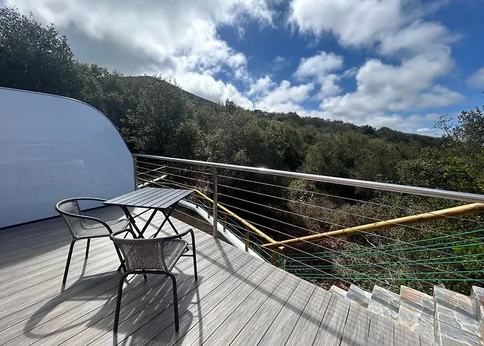 Viva Forest Apartment, Stevier 公寓