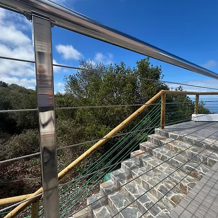 Viva Forest Apartment, Stevier Apartmán *